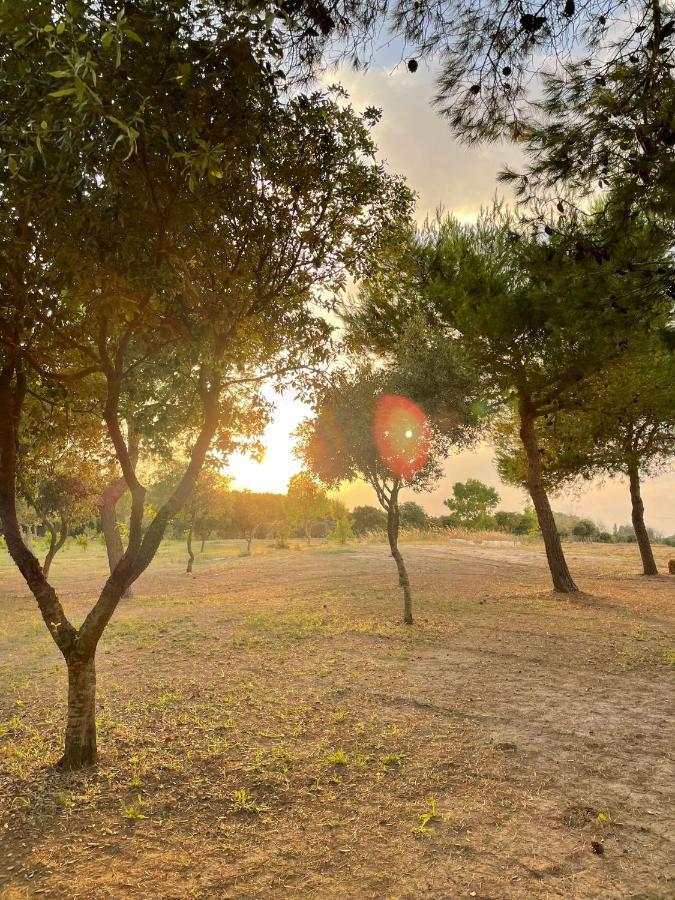 טורה דל'אורסו Agriturismo Tenuta Pozzello מראה חיצוני תמונה
