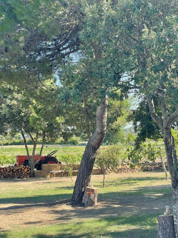 טורה דל'אורסו Agriturismo Tenuta Pozzello מראה חיצוני תמונה