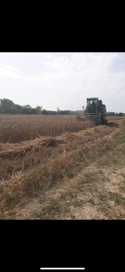 טורה דל'אורסו Agriturismo Tenuta Pozzello מראה חיצוני תמונה